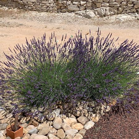 Au Fil Des Cevennes Bed & Breakfast Saint-Jean-de-Maruéjols-et-Avéjan Екстериор снимка