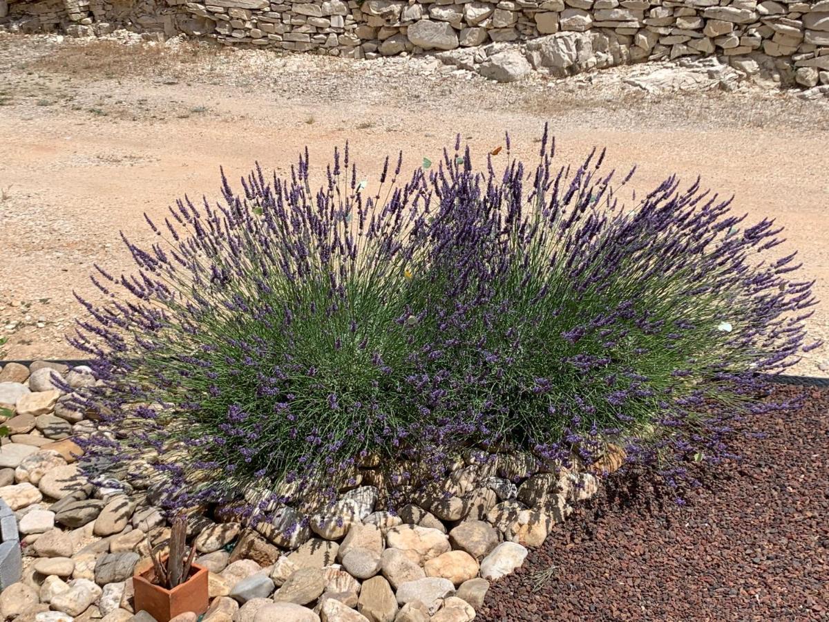Au Fil Des Cevennes Bed & Breakfast Saint-Jean-de-Maruéjols-et-Avéjan Екстериор снимка